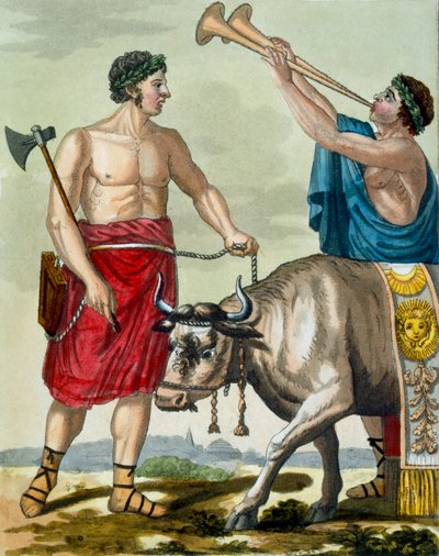 Sacrifice of a Bull, illustration from 